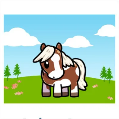 Quel est l'autre nom donné au pinto ?