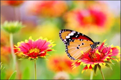 Quel &eacute;tait le prix d'un num&eacute;ro du journal qu&eacute;b&eacute;cois "L'Ecran" ?