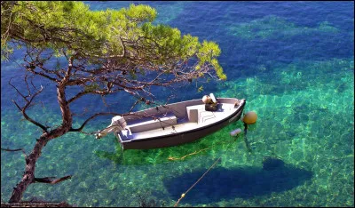 Laquelle de ces couleurs peut être retrouvée sur le drapeau de Marseille ?