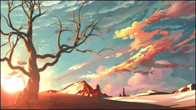 Quel est ton but dans la vie ?