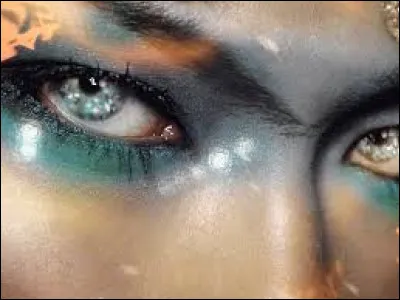 &Agrave; qui doit-on la chanson "Elle a les yeux revolver" ?