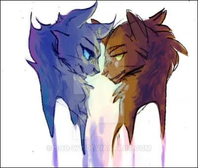 Qui est son compagnon ?