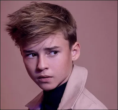 Comment s'appelle l'acteur qui joue le rôle de Will Robinson ?