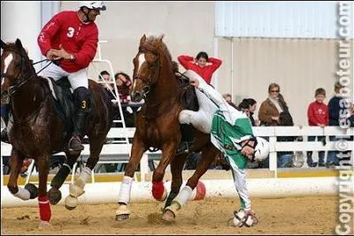 Quelle est cette discipline ?