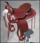 Quelle est cette selle ?
