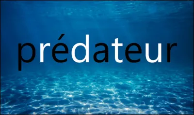Quel mammif&egrave;re marin est le seul pr&eacute;dateur de la baleine bleue ?