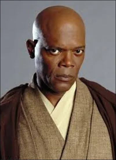 Quelle est la couleur du sabre de Windu ?