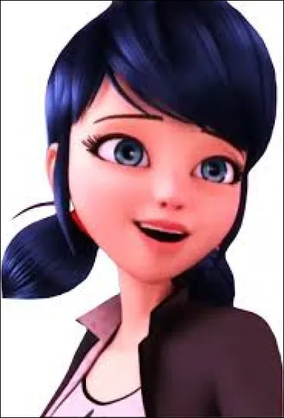 Marinette est amoureuse de...