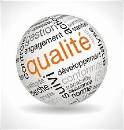 Quelle qualité te convient le mieux ? (Soi sérieux en répondant à cette question, et évite de flatter ton égo. Plus la réponse sera sincère, plus le personnage obtenu sera proche de ta personnalité).