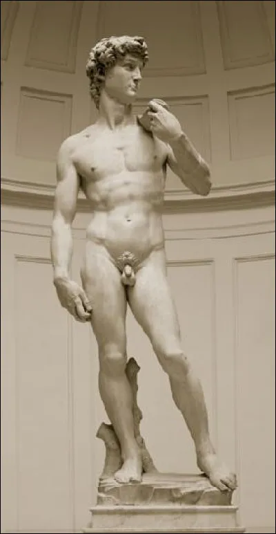Quel est le nom de cette statue représentée par Michel-Ange ?