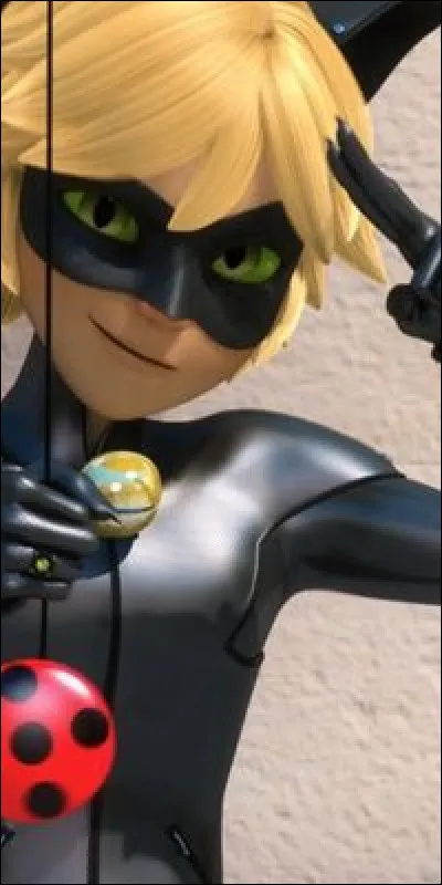 Quand il est Chat Noir, de quoi est-il armé ?