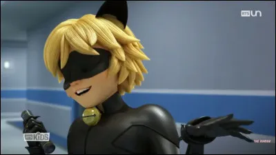 Son kwami se nourrit principalement de...