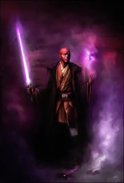 Qui furent les maîtres de Mace Windu durant sa formation (CANON et LEGEND confondus) ?