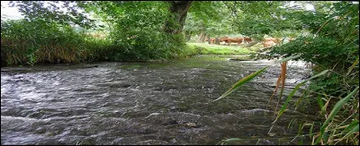 La Sée est une rivière traversant [...] entre autres lieux.