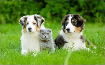 Quelle est ta taille ?