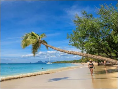 Que préfères-tu comme idée de rendez-vous ?