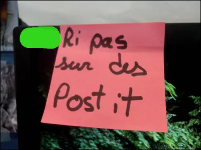 D'accord : sur les murs, alors !