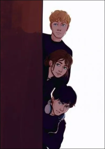 Ta couleur pr&eacute;f&eacute;r&eacute;e est : (1)