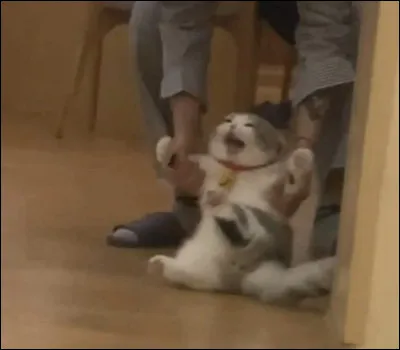 Veux-tu avoir un groupe mixte ?