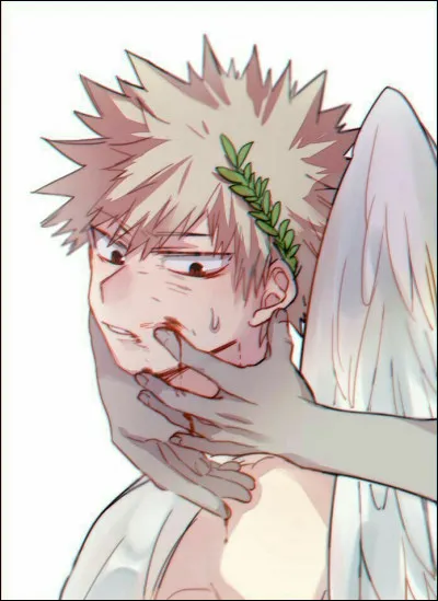 Quel costume voudrais-tu ?