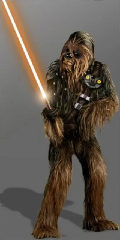 Physiquement, comment es-tu ?