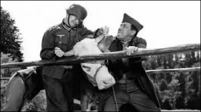 Quel est ce film d'Henri Verneuil ?