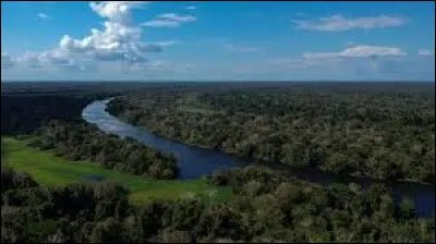 De quel pays lAmazonas est-il le plus grand des états ?