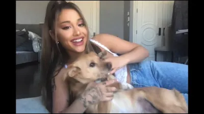 Aimes-tu les animaux ?