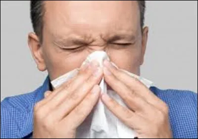 Dans quel pays, utiliser un mouchoir pour se moucher devant quelqu'un est-il considéré comme étant assez vulgaire ?