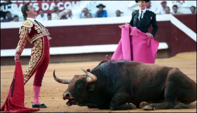 À la corrida, le président accorde une oreille, deux oreilles, deux oreilles et la queue au toréro en présentant un, deux ou trois mouchoirs de quelle couleur ?