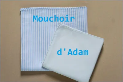 Que signifie l'expression ''Faire un mouchoir dAdam'' ?