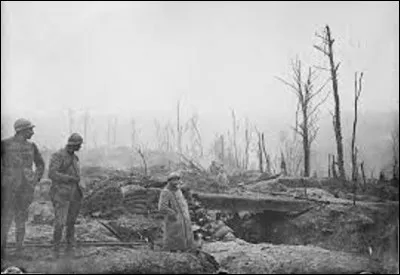 21 février 1916 : 
Quelle grande bataille de la Première Guerre mondiale commence ?