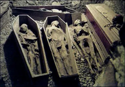 Aux catacombes de St Michans Church à Dublin, il parait que l'on peut même toucher une momie qui aurait participé à...