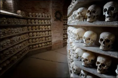 Catacombes de la crypte du Stephansdom à Vienne > En plus des restes royaux et impériaux, 11 000 personnes furent enterrées ici au XVIIIe s. Pourquoi ?