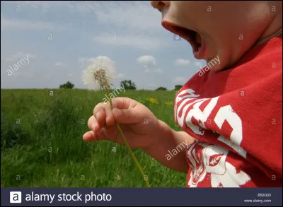 Le titre de cette chanson est :