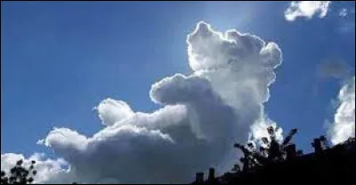 L'image indique comme chanson...