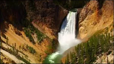 Elles sont situées dans le parc national de Yellowstone, :