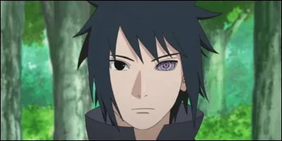 Tu rejoins Sasuke et il te demande une chose mais tu ne comprends pas. Qu'est-ce que tu fais ?