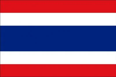 A quel pays appartient ce drapeau ?