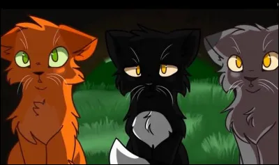 Comment s'appellent ses amis ?