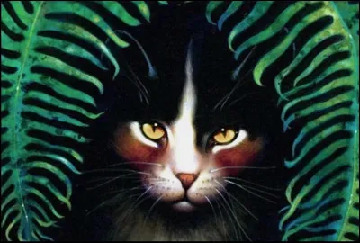 Comment s'appelle la chatte dont il est tombé amoureux dans le tome 1 ?