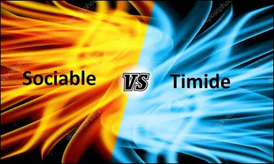 Vous êtes plutôt :