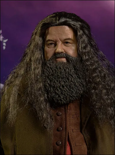 Que fait Hagrid ?