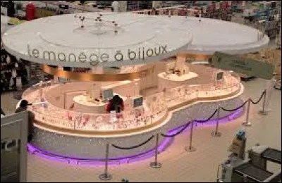 Dans quelle enseigne trouve-t-on "Le Manège à Bijoux ?