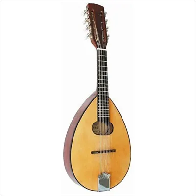 Quel est cet instrument ?