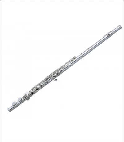 Quel est cet instrument ?