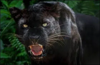 Trouve le nom d'un personnage de fiction !