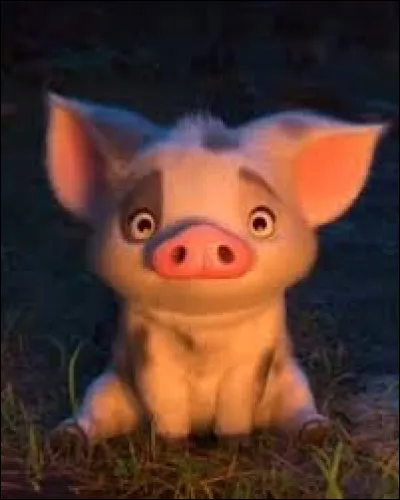 Comment s'appelle le cochon dans "Vaiana" ?