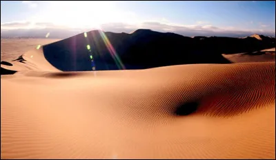 Où trouve-t-on des chameaux de Bactriane à l'état sauvage ?