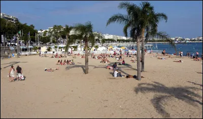 Quel jeu vidéo de type bac à sable est très connu ?